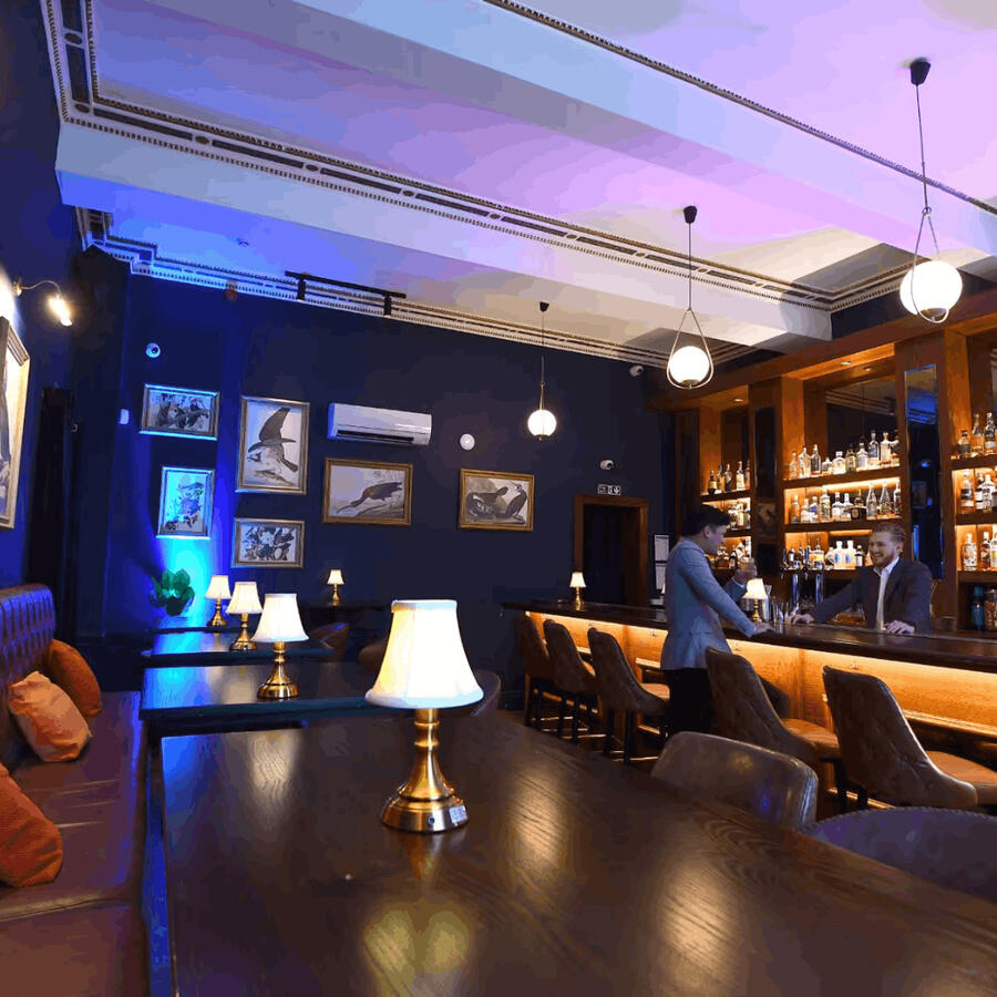 The Royal Institution